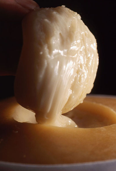 Queijo da Serra da Estrela: uma iguaria 100% portuguesa