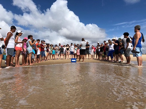 Radisson Hotel Aracaju promove soltura de tartarugas marinhas