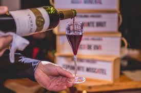 Miolo, a experiência do vinho muito além da taça