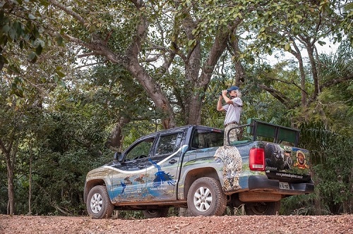 Hotéis da Roteiros de Charme são camarotes na temporada de observação de animais