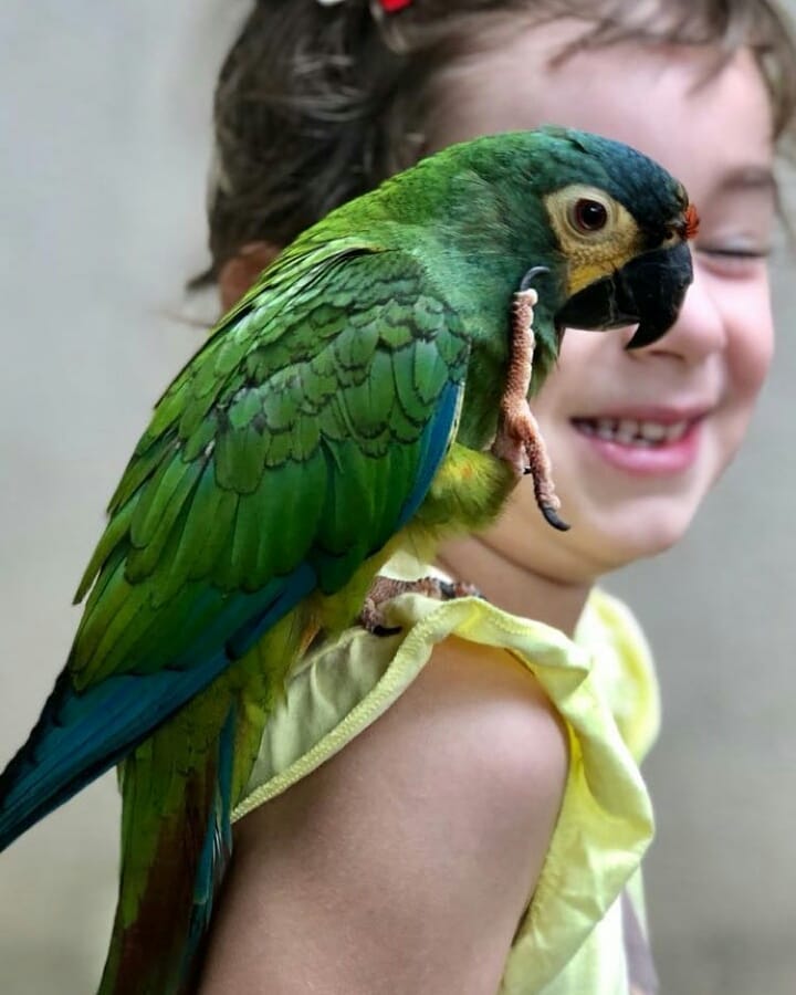 Blue Tree Park Lins (SP) terá atividades ecológicas e interações com animais nas férias de julho