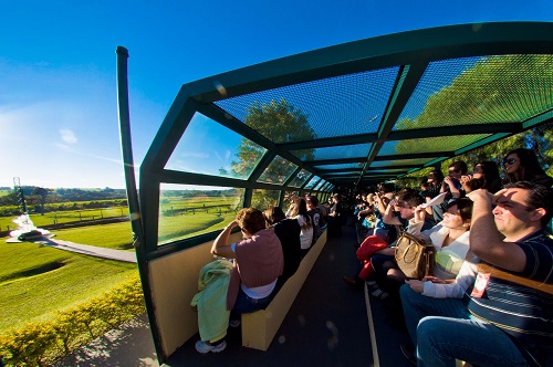 Star Party VIII reúne turistas e astrônomos para comemorar os 50 anos da conquista da Lua
