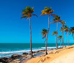 No mês do inverno, turistas optam por escolher o Nordeste como destino 
