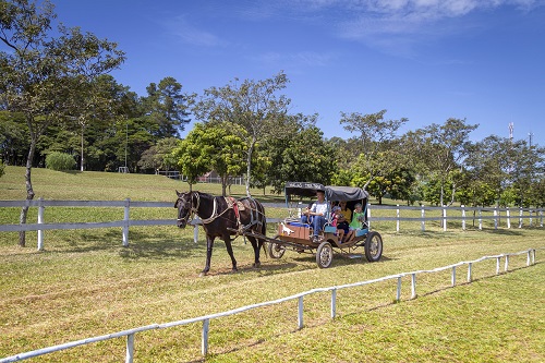 Feriadão de Corpus Christi no Brotas Eco Resort terá festa junina com comidas típicas e música ao vivo