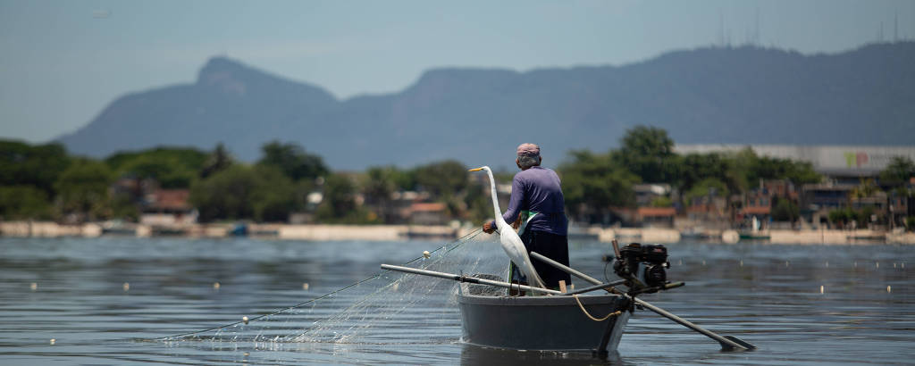 Baía de Guanabara poluída reduz renda a pescadores e dá prejuízo bilionário ao RJ