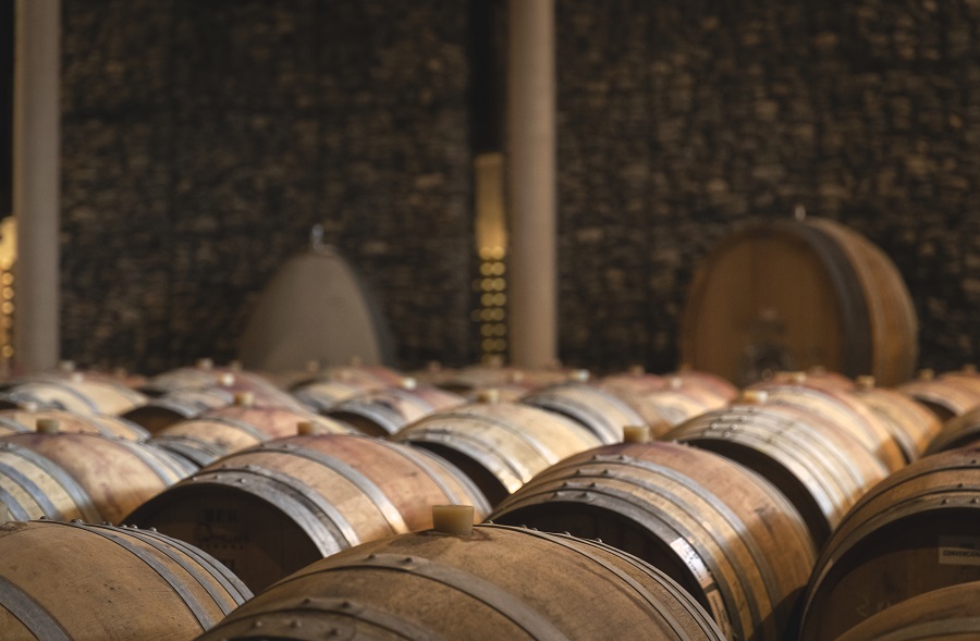 Dia Mundial do Enoturismo: Chile é o destino ideal para degustar rótulos diferenciados