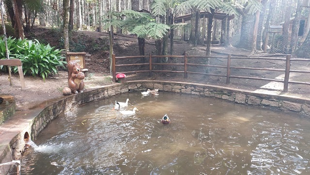 Monte Verde: destino para relaxar no feriado