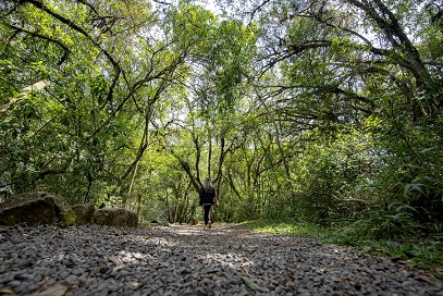 O que fazer no Dia dos Pais na Serra Gaúcha