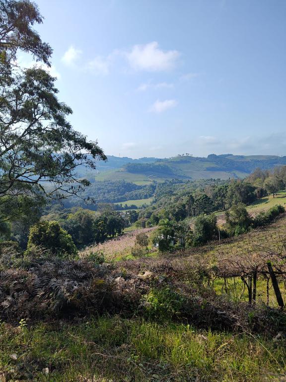 Wine Run une corrida com cultura do vinho no Caminhos de Pedra, na Serra Gaúcha